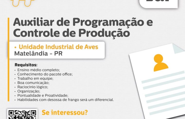 Vaga para Auxiliar de Programação e Controle de Produção em Matelândia