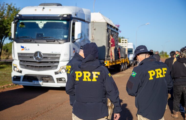 Elefanta Kenya é escoltada pela PRF rumo ao santuário no MT