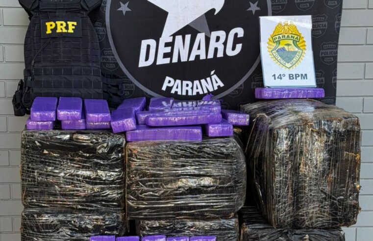 Mais de 460 kg de maconha são apreendidos em Santa Terezinha