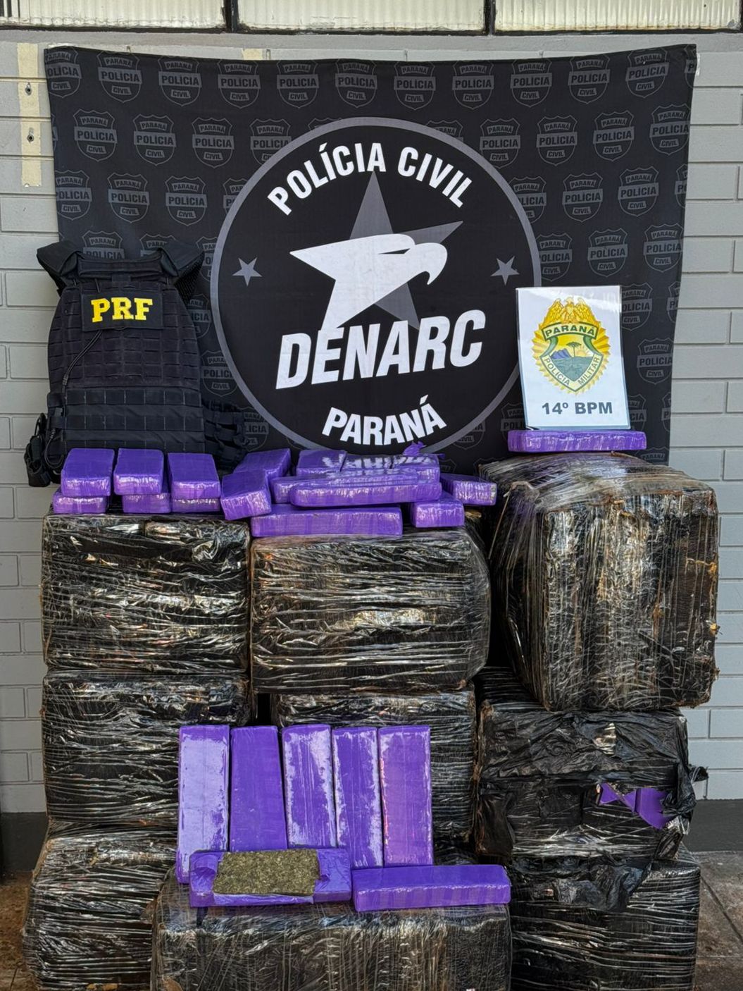 Mais de 460 kg de maconha são apreendidos em Santa Terezinha