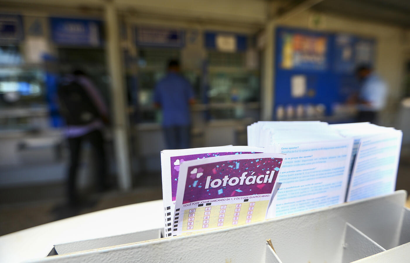 Lotofácil 3441: 4 apostas levam prêmio de R$ 3,2 milhões