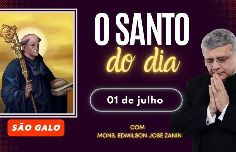 Santo do Dia 01 de Julho: São Galo, bispo e milagreiro