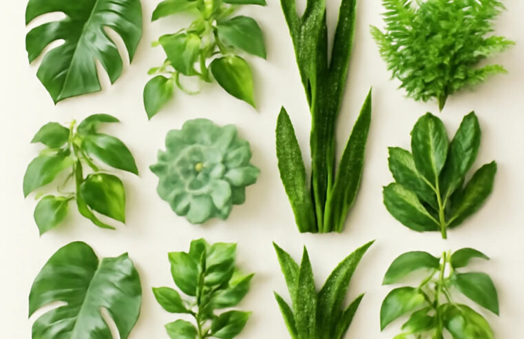 20 Plantas Para Ambientes Fechados Que Vão Transformar Sua Casa