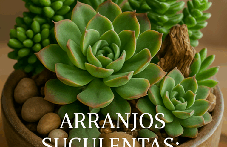 Arranjos Suculentas: Arte Viva na Decoração