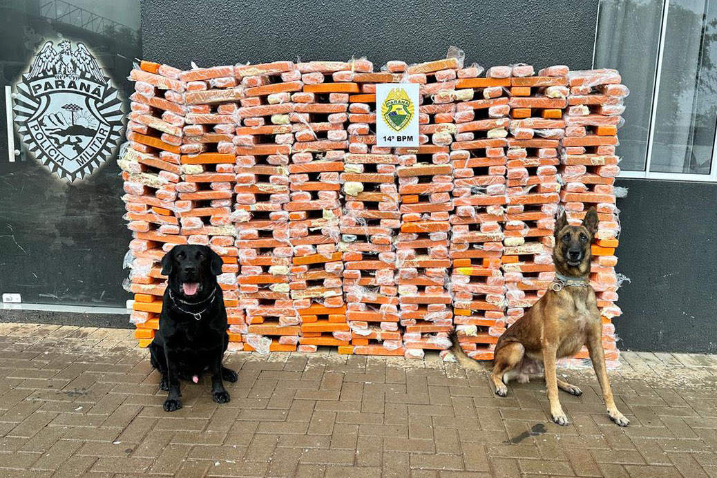 R$ 903 milhões: cães da PMPR causam prejuízo histórico ao crime