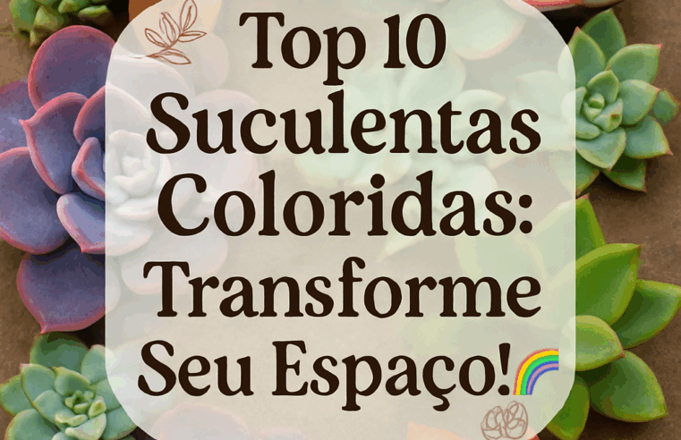 Top 10 Suculentas Coloridas: Transforme Seu Espaço!🌈