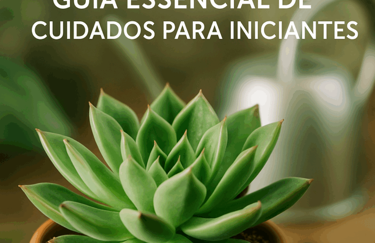 Suculenta Perfeita: Guia Essencial de Cuidados para Iniciantes