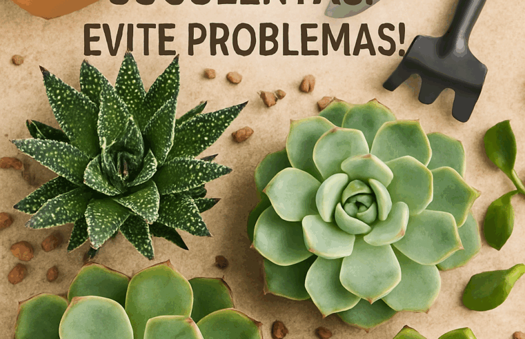 Erros Comuns no Cultivo de Suculentas: Evite Problemas!