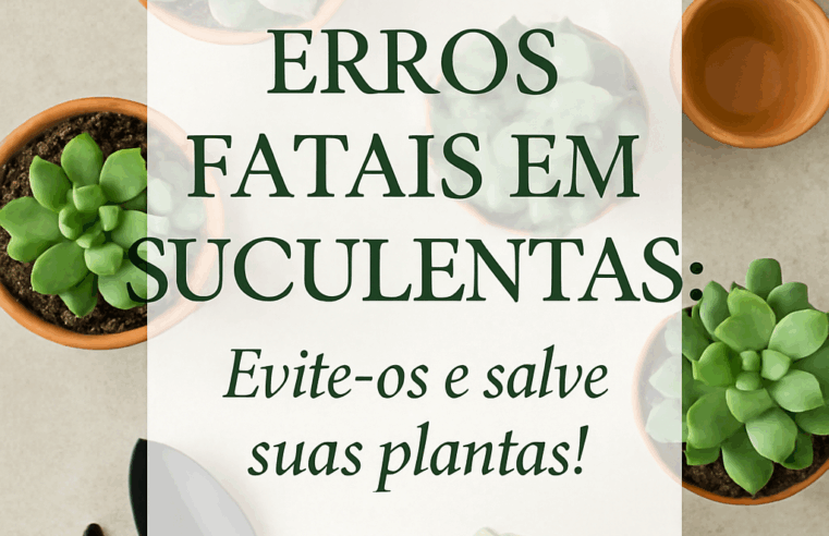Erros Fatais em Suculentas: Evite-os e Salve suas Plantas!