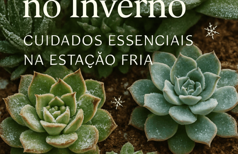 Suculentas no Inverno: Cuidados Essenciais na Estação Fria