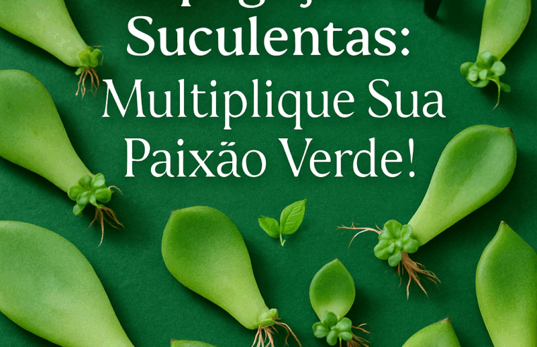 Propagação de Suculentas: Multiplique Sua Paixão Verde! 🌿
