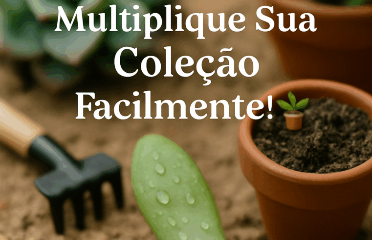 Propagar Suculentas: Multiplique Sua Coleção Facilmente! 🪴