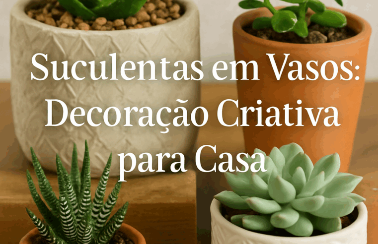 Suculentas em Vasos: Decoração Criativa para Casa