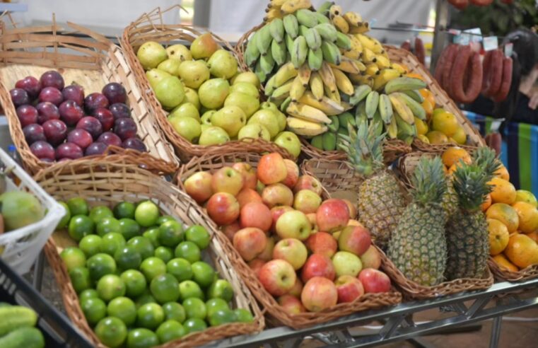 Feira do Produtor reúne alimentos frescos e coloniais em Santa Terezinha de Itaipu