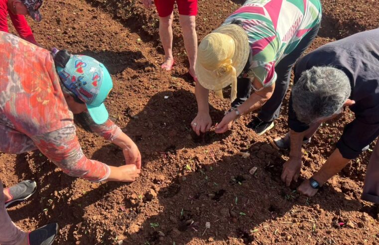 Conviver participa de oficina na Horta Orgânica Municipal em Santa Terezinha de Itaipu