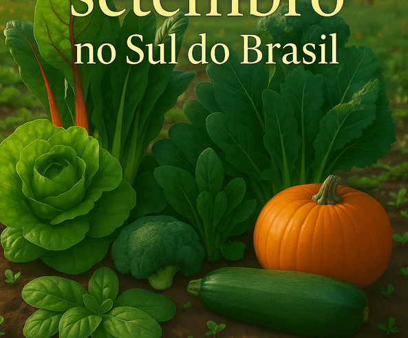 O que plantar em setembro no Sul do Brasil 🌱 Descubra já
