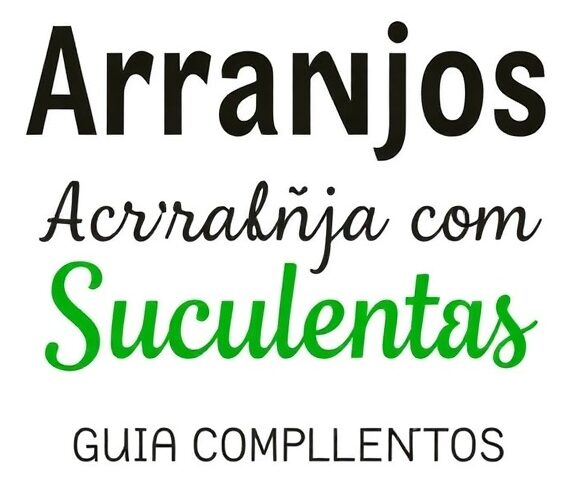 Arranjos com Suculentas: Guia Completo para Decoração