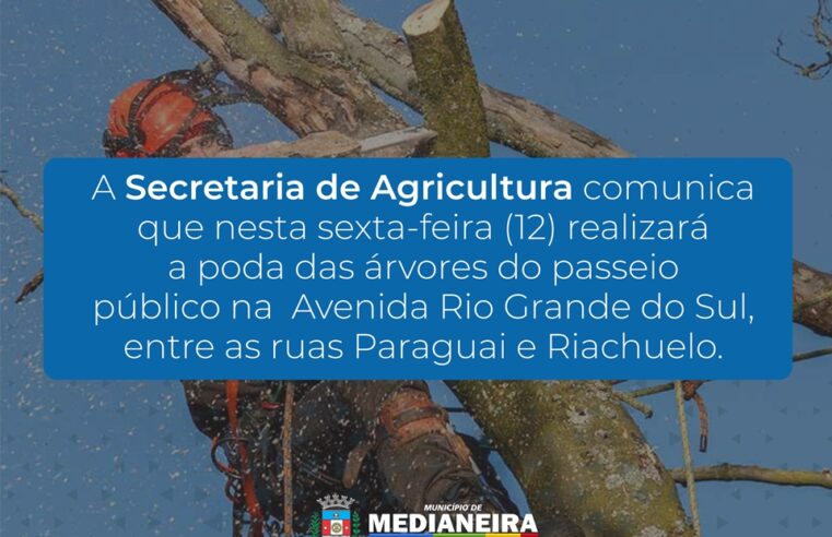 Poda de árvores na Avenida Rio Grande do Sul em Medianeira nesta sexta-feira