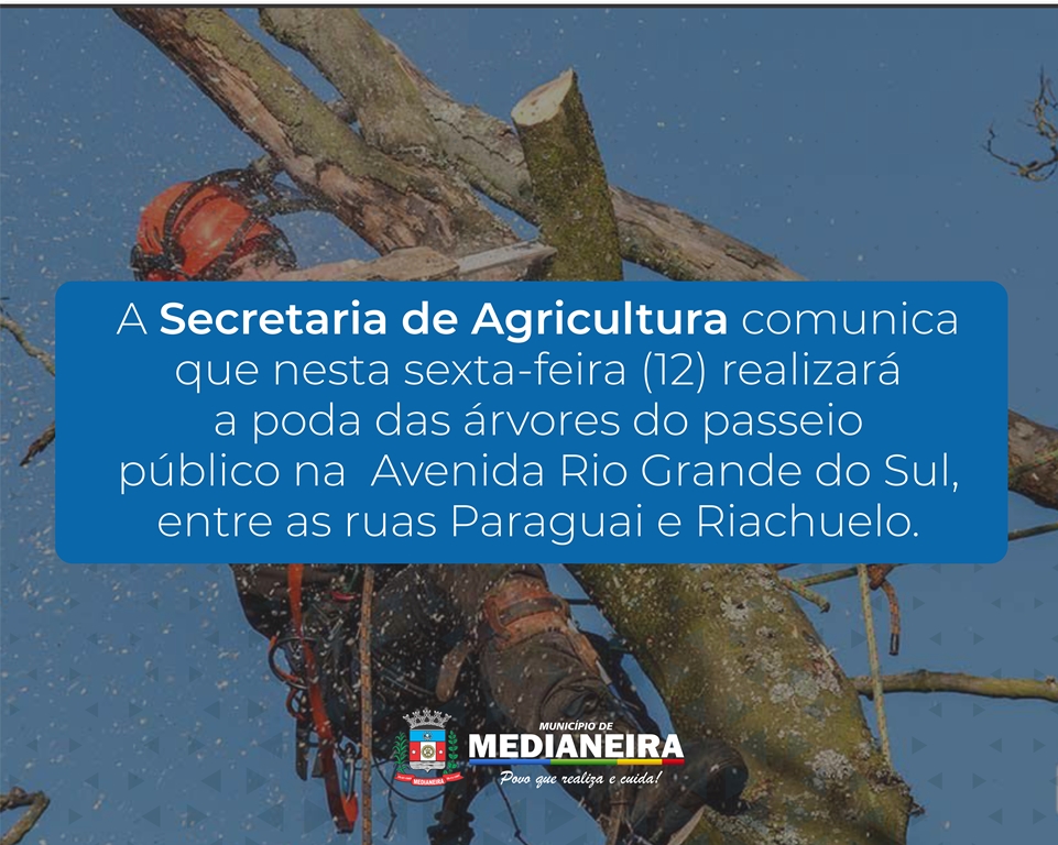 Poda de árvores na Avenida Rio Grande do Sul em Medianeira nesta sexta-feira
