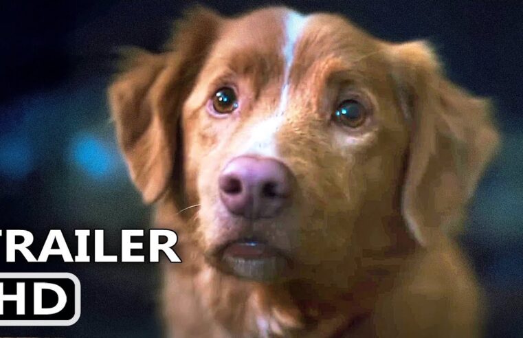 BOM MENINO Trailer Dublado Legendado (2025) Terror