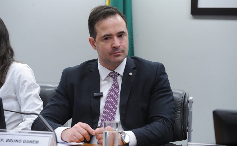 Câmara aprova projeto que criminaliza uso de animais em transporte de carga