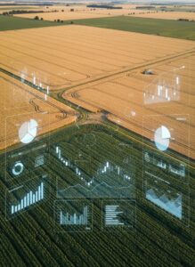 Como funciona o Cepea e por que ele influencia os preços agrícolas