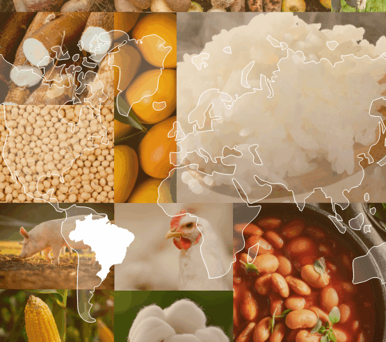 Conab prevê recorde de grãos e carnes na Safra 2025/26