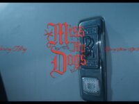 Young Thug - Miss My Dogs [Official Video]