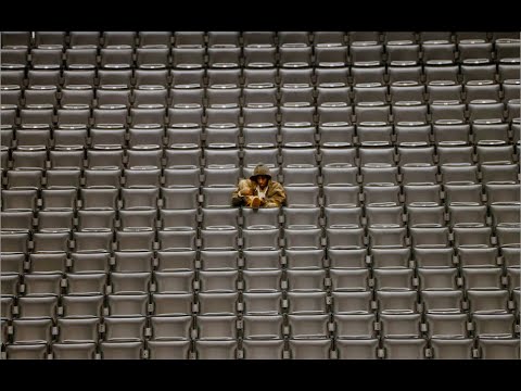 YoungBoy Never Broke Again – Shark [Official Music Video]