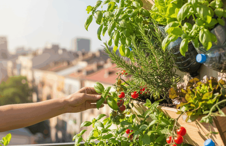Crie Suas Próprias Hortas: Sabor Fresco e Vida Saudável! 🥕 7 Crie Suas Próprias Hortas: Sabor Fresco e Vida Saudável! 🥕