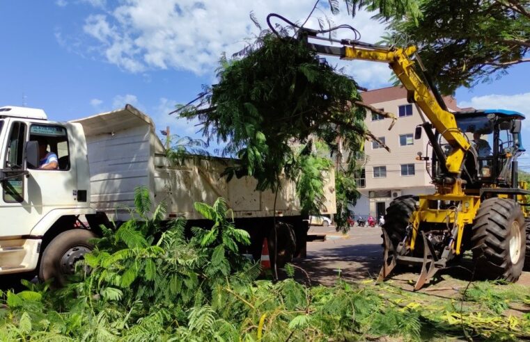 Recolha de galhos e entulhos em Porto Mendes começa na segunda