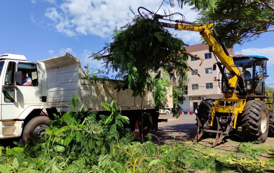 Recolha de galhos e entulhos em Porto Mendes começa na segunda