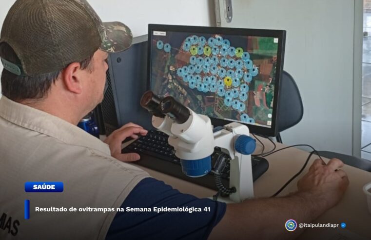 Monitoramento do Aedes aegypti em Itaipulândia aponta aumento de infestação