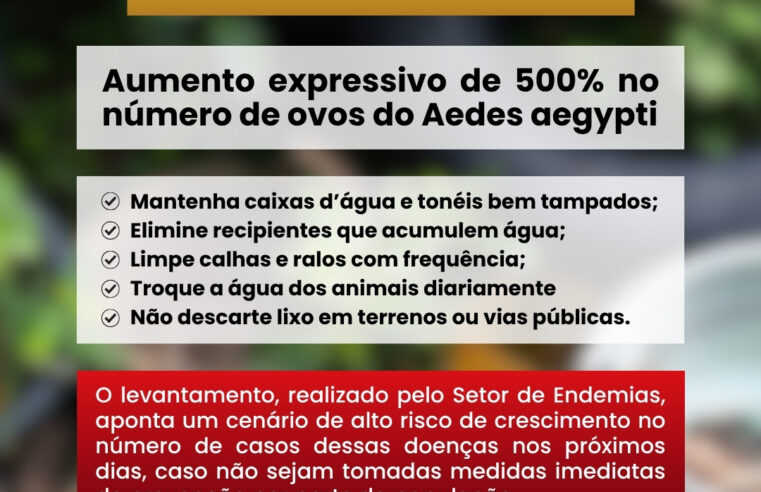 Medianeira registra aumento de 500% nos focos do mosquito da dengue