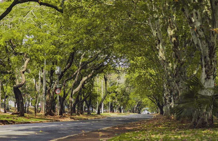 Domingo na Rua em Foz do Iguaçu terá novo horário a partir de 19 de outubro