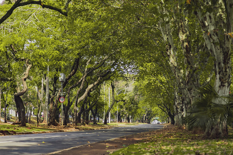 Domingo na Rua em Foz do Iguaçu terá novo horário a partir de 19 de outubro