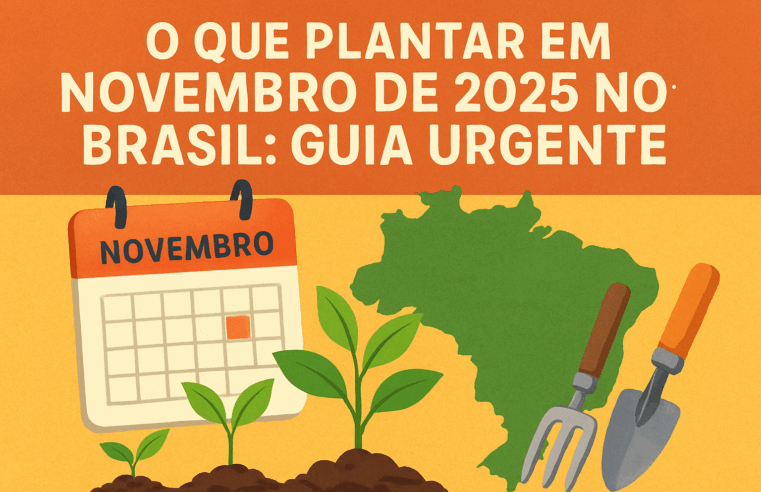 O que plantar em novembro de 2025 no Brasil: guia urgente