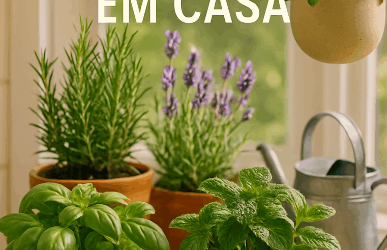 Quais são as melhores plantas aromáticas para ter em casa?