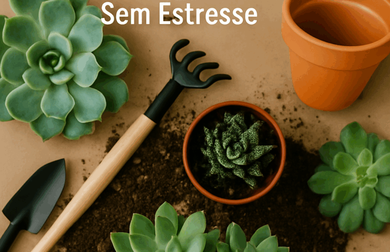 Transplante de Suculentas: Guia Passo a Passo Sem Estresse