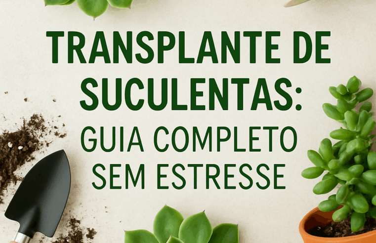 Transplante de Suculentas: Guia Completo Sem Estresse