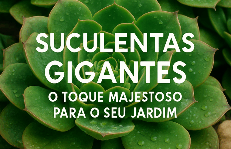 Suculentas Gigantes: O Toque Majestoso para o Seu Jardim