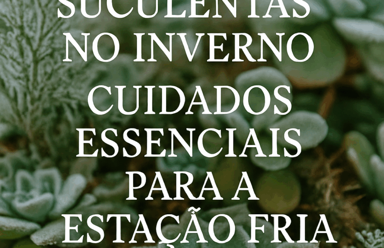 Suculentas no Inverno: Cuidados Essenciais para a Estação Fria