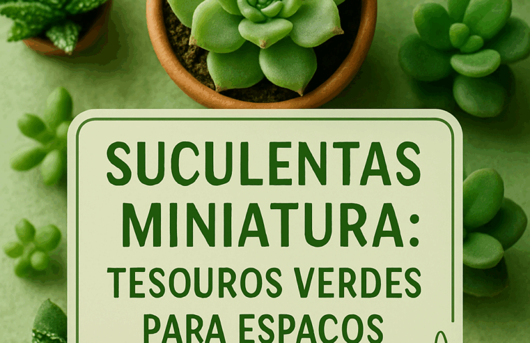 Suculentas Miniatura: Tesouros Verdes para Espaços Pequenos 1 Suculentas Miniatura: Tesouros Verdes para Espaços Pequenos