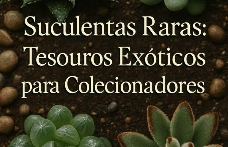 Suculentas Raras: Tesouros Exóticos para Colecionadores