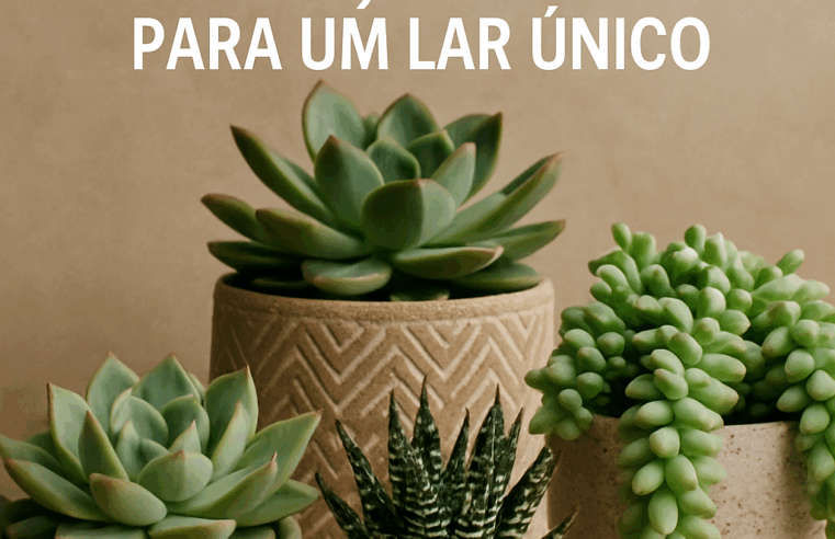 Suculentas em Vasos: Decoração Criativa para um Lar Único