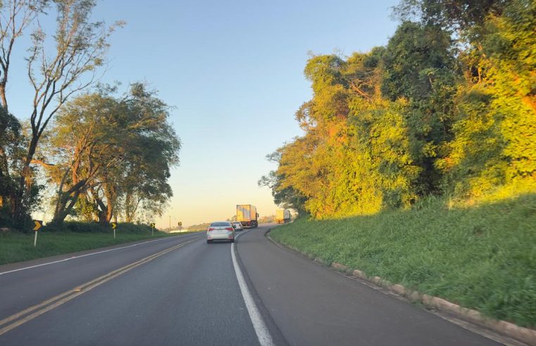 EPR Iguaçu: 4 pontos terão intervenções de segurança na BR-277