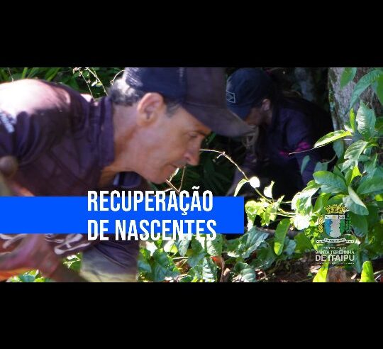 Recuperação de nascentes fortalece sustentabilidade em Santa Terezinha
