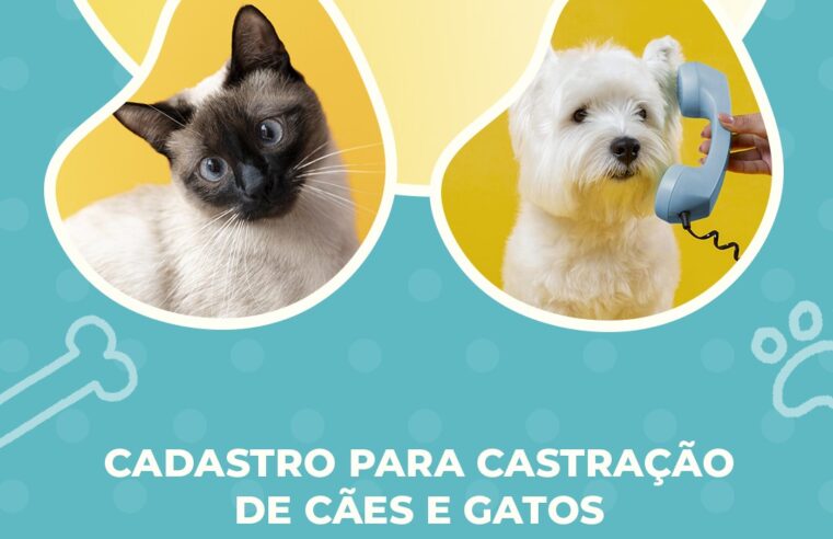 Guaíra realiza cadastro para castração de cães e gatos em Bela Vista