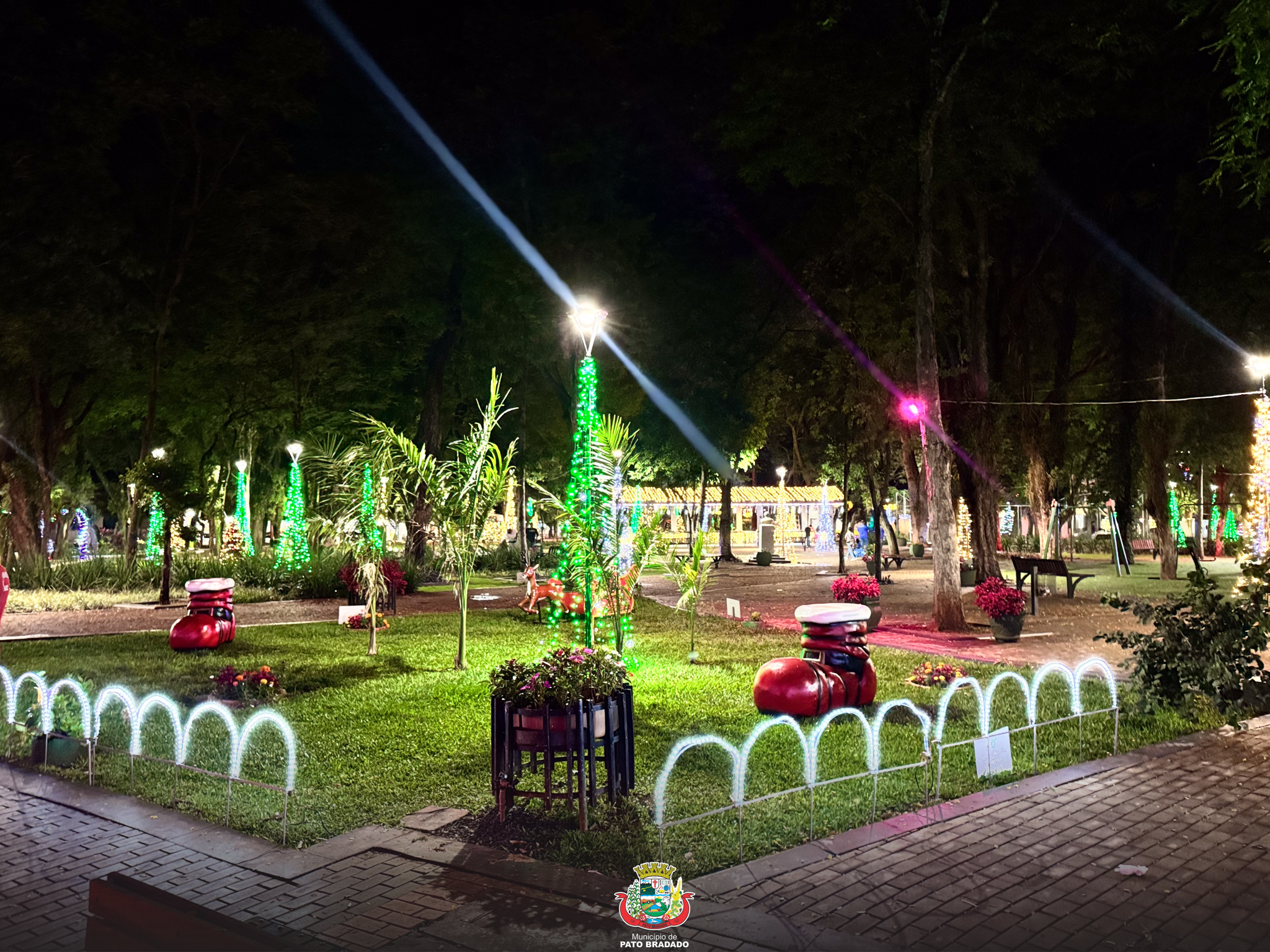 Festival da Canção Bragadense 2025 encanta público com luzes e roda-gigante 6 Roda-gigante Pato Bragado 2025