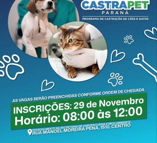 Castração gratuita Castra Pet Paraná abre inscrições dia 29